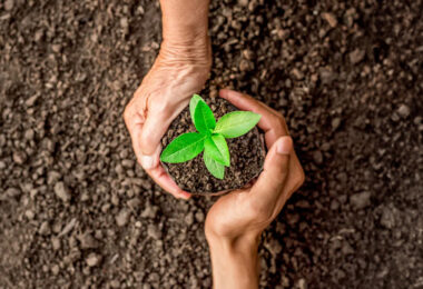 Direito Ambiental e Agrário